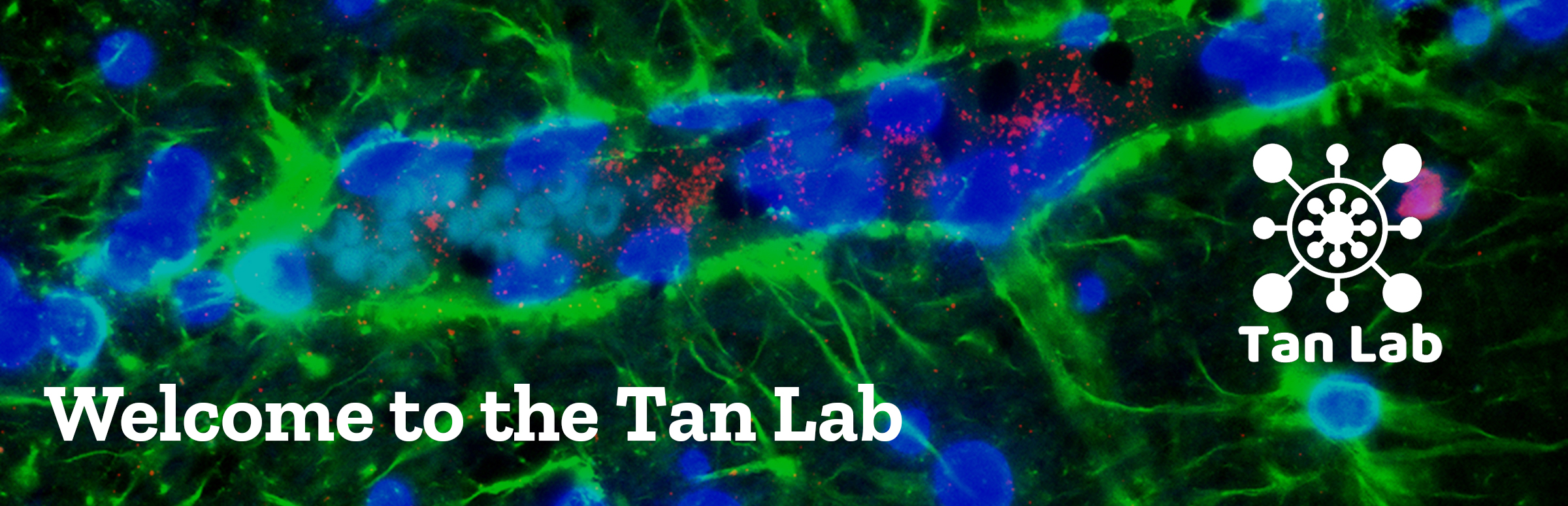 Welcome to the Tan Lab